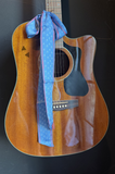 Denim Blue Horseshoe Twilly