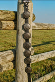 Tierney Concho Belt